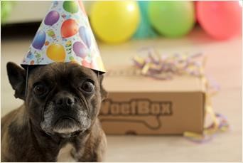 Vier de verjaardag van je hond met de verjaardagswoefbox
