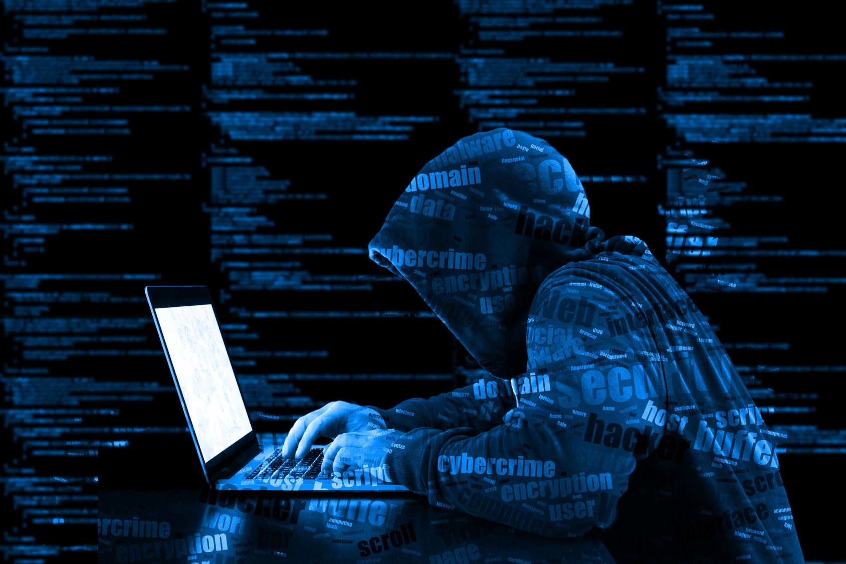 Hoe pakt een organisatie haar rol in het bestrijden van cybercriminaliteit?