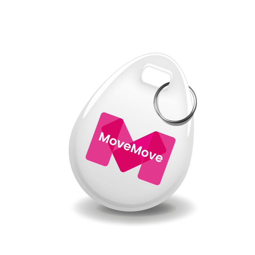 Introductie MoveMove-laadsleutel impuls voor zakelijk elektrisch rijden