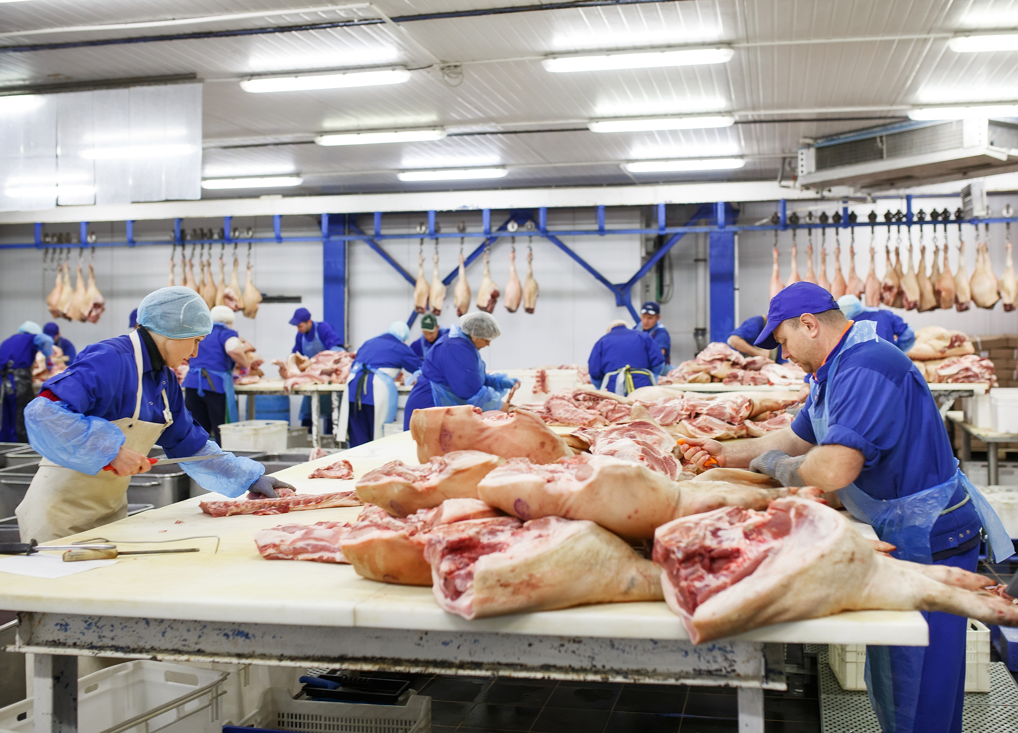 Vleesverwerkingsindustrie: ter beschikking stellen van personeel en onderaanneming vanaf 01-01-2021 verboden