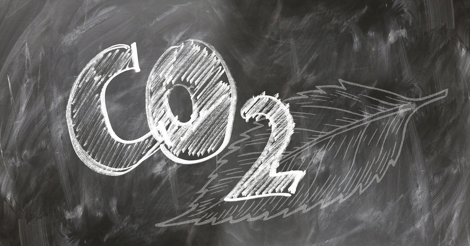 Dít willen ondernemers weten over CO2-neutraal ondernemen